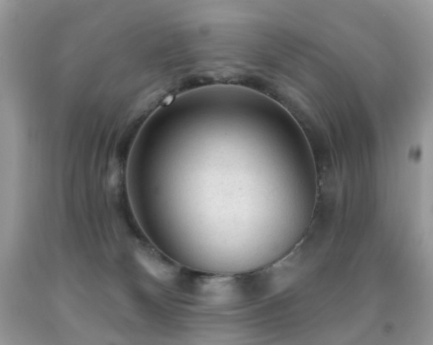 X0000091950132200709061248