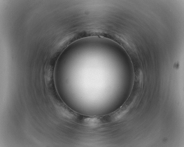 X0000091950133200709061248
