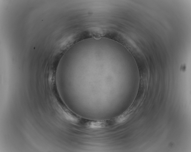 X0000091950134200709061248