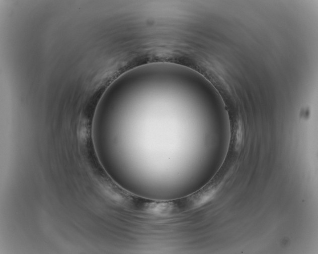 X0000091950135200709061248