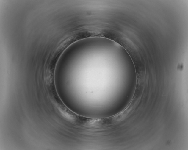 X0000091950136200709061248