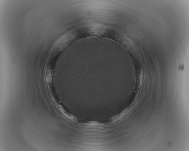 X0000091950137200709061248