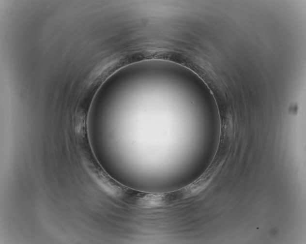 X0000091950138200709061248