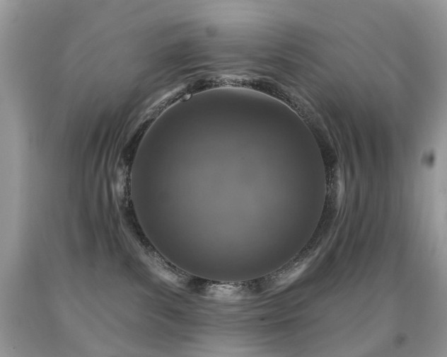 X0000091950139200709061248
