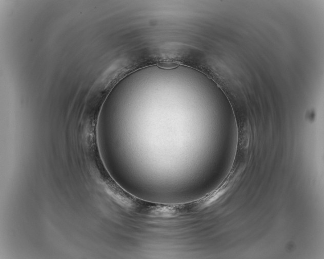 X0000091950140200709061248