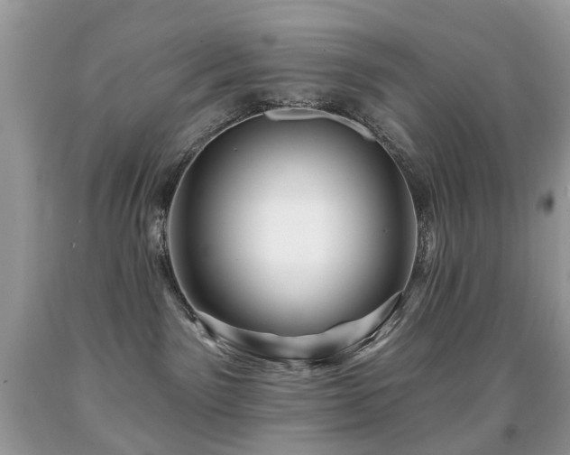 X0000091950141200709061248