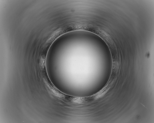 X0000091950142200709061248
