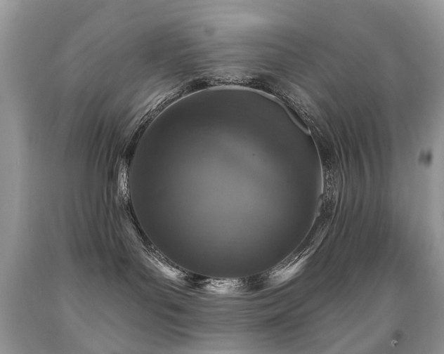 X0000091950143200709061248