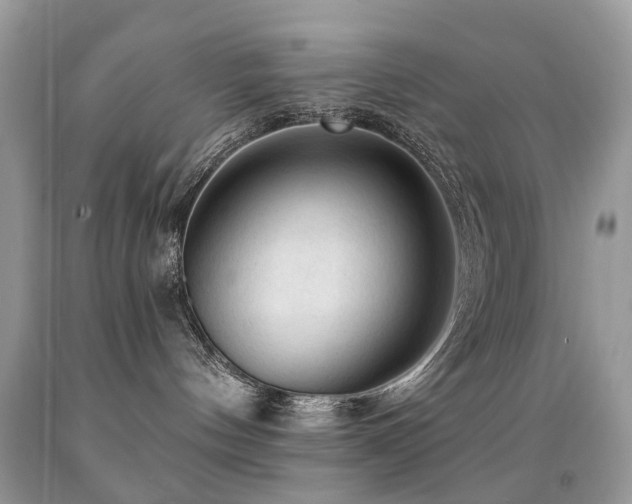 X0000091950144200709061248