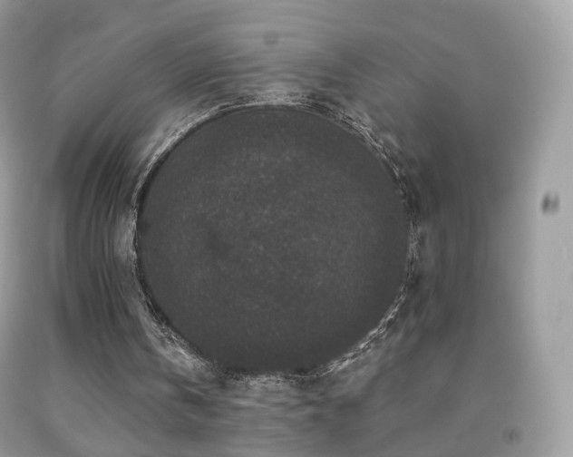 X0000091950146200709061247