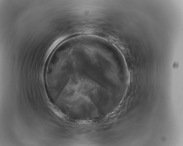 X0000091950147200709061247