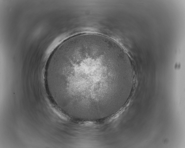 X0000091950151200709061247