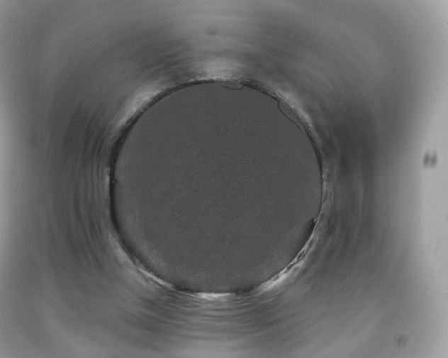 X0000091950154200709061247