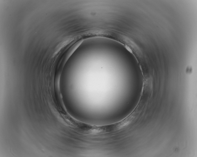 X0000091950158200709061248