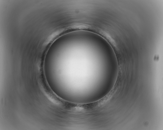 X0000091950159200709061248