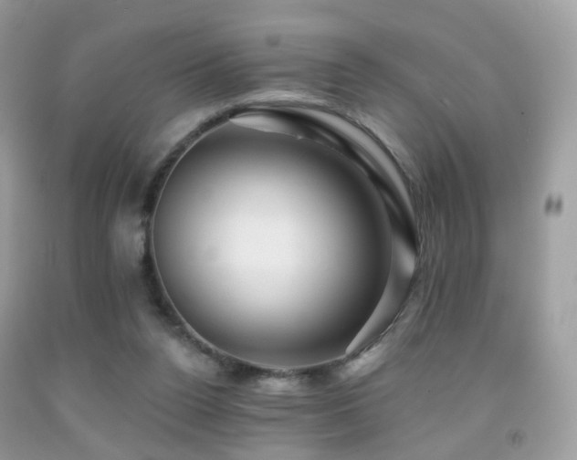 X0000091950160200709061248