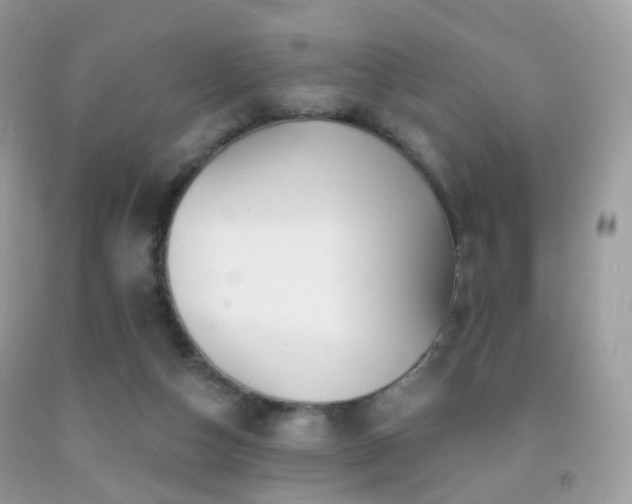 X0000091950162200709061248