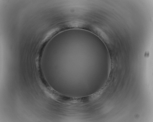 X0000091950163200709061248