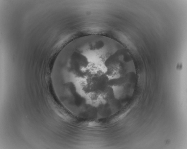 X0000091950165200709061248