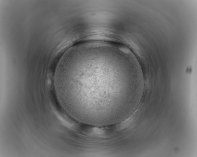 X0000091950166200709061248