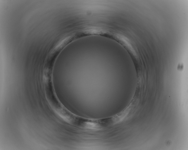 X0000091950167200709061248
