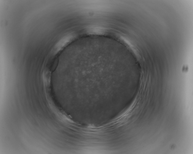 X0000091950168200709061248