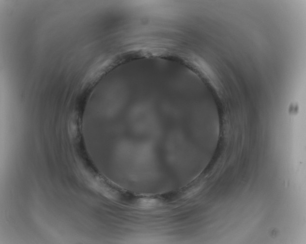 X0000091950169200709061248