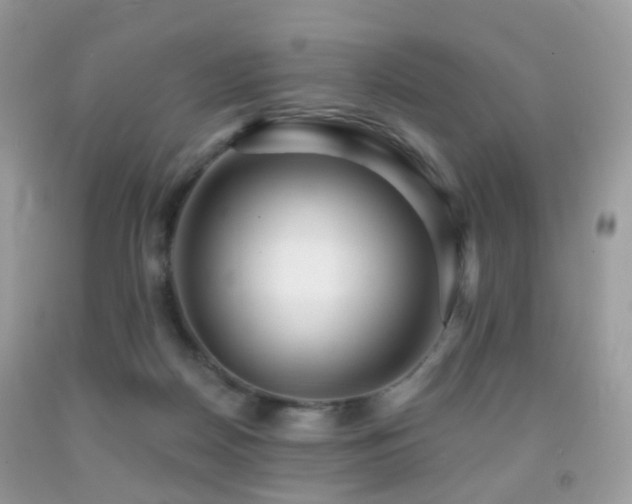 X0000091950170200709061248