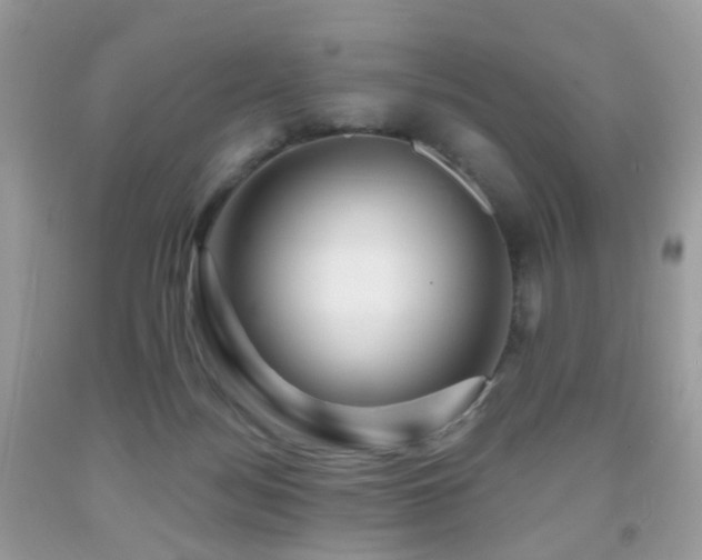 X0000091950172200709061248