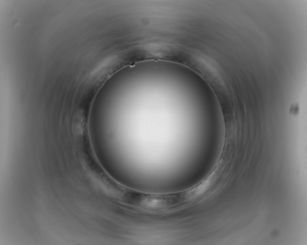 X0000091950174200709061248