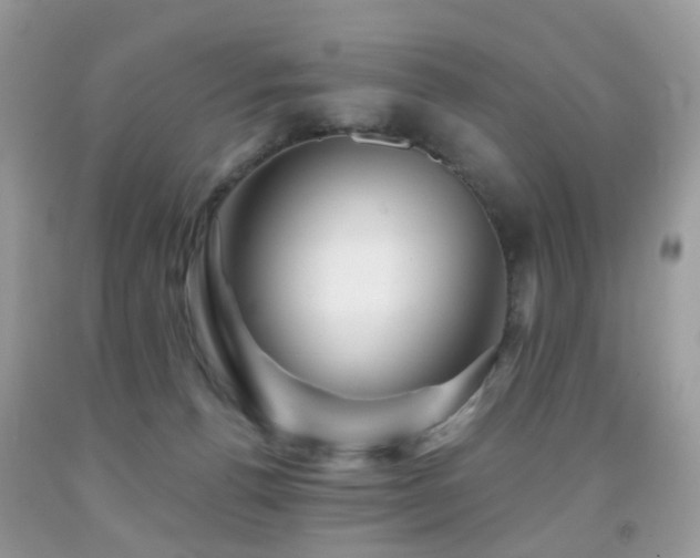 X0000091950176200709061248
