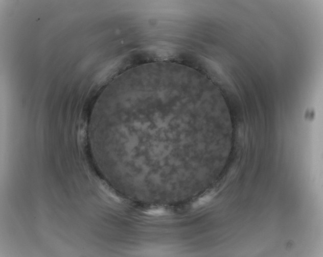 X0000091950177200709061248