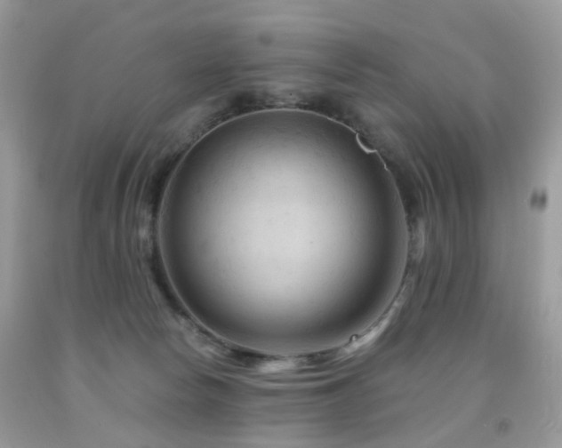 X0000091950178200709061248