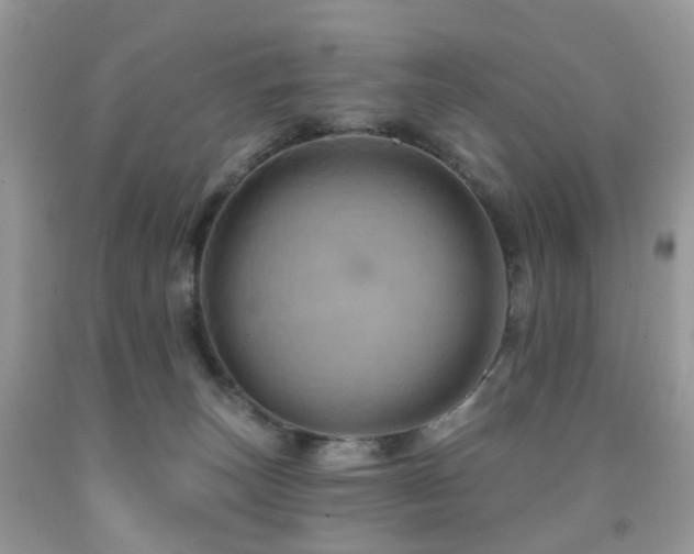 X0000091950179200709061248