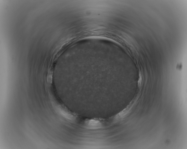 X0000091950180200709061248