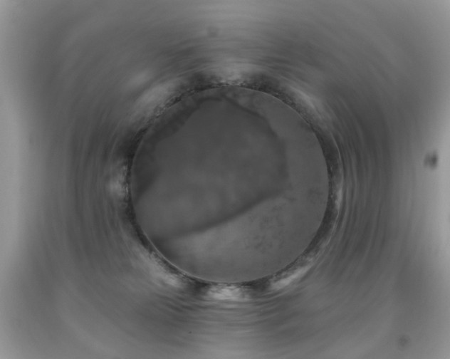 X0000091950181200709061248