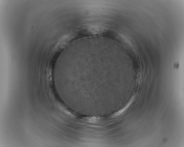 X0000091950182200709061248