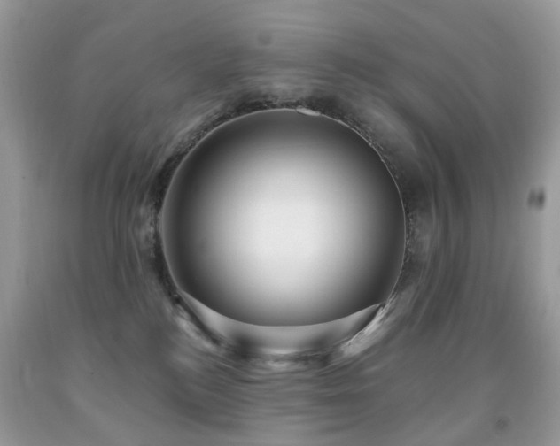 X0000091950184200709061248