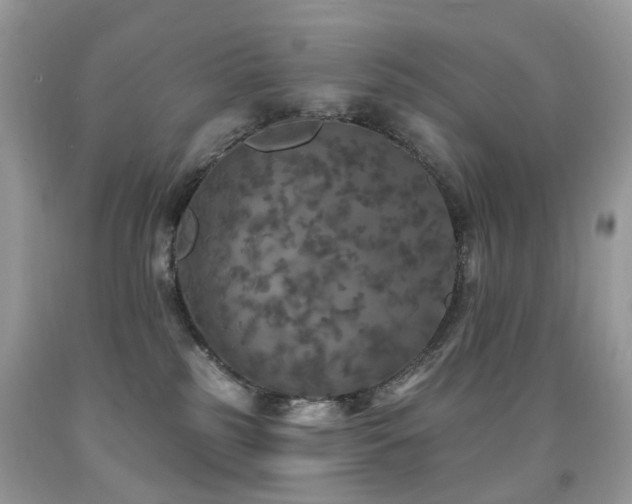 X0000091950185200709061248