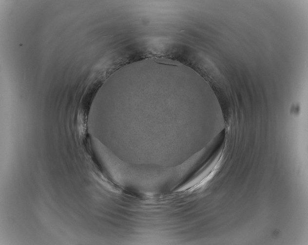 X0000091950186200709061248