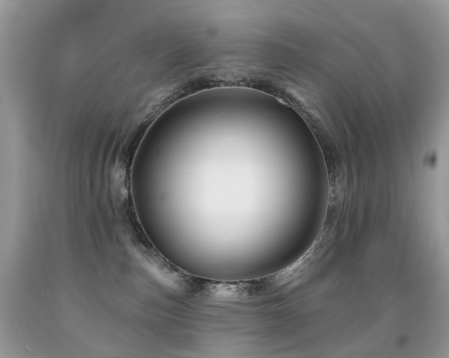 X0000091950187200709061248