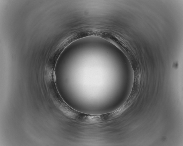 X0000091950188200709061248