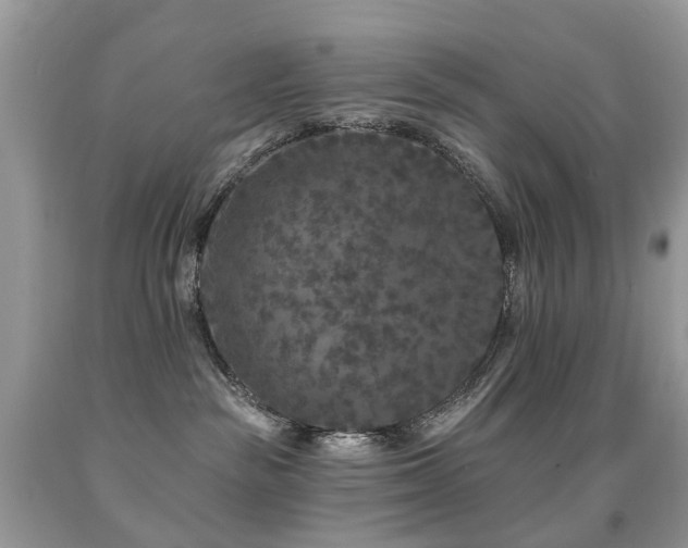 X0000091950189200709061248