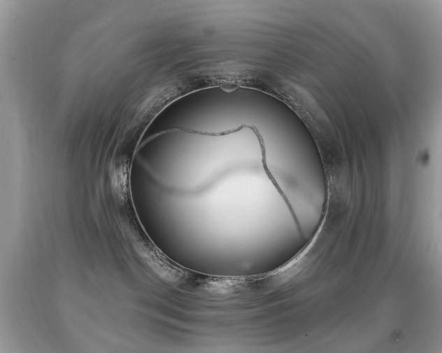 X0000091950190200709061248