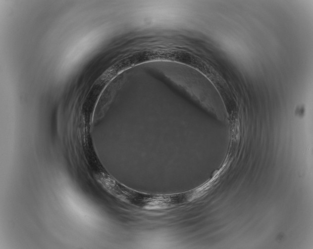 X0000091950191200709061248