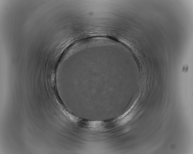 X0000091950192200709061248