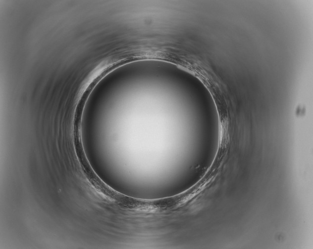 X0000091950195200709061247