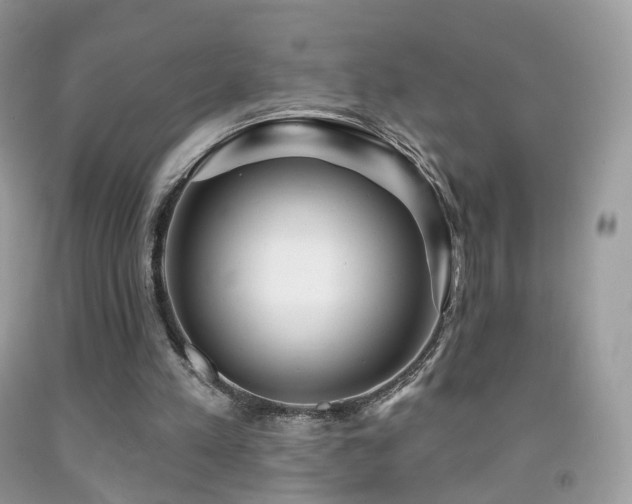 X0000091950197200709061247