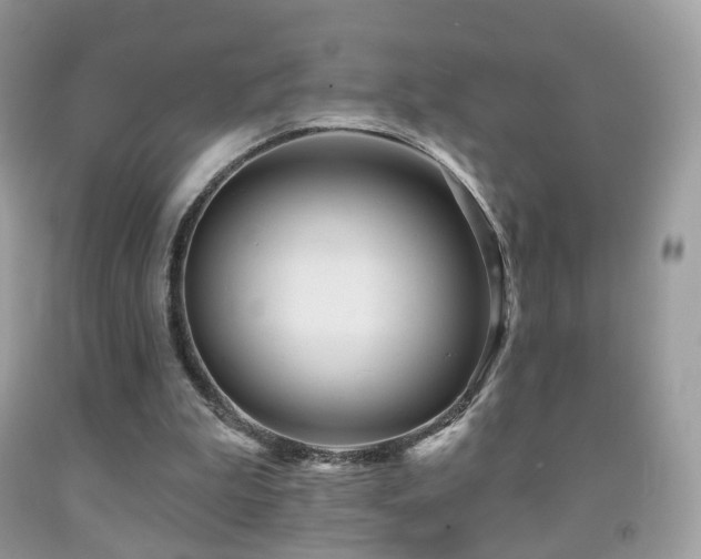X0000091950199200709061247