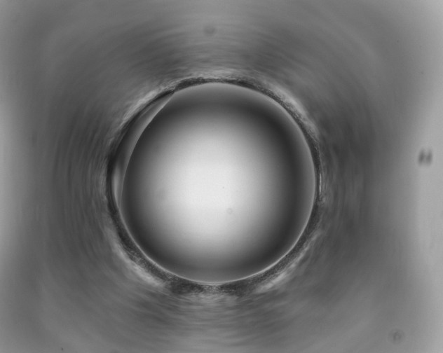 X0000091950201200709061247